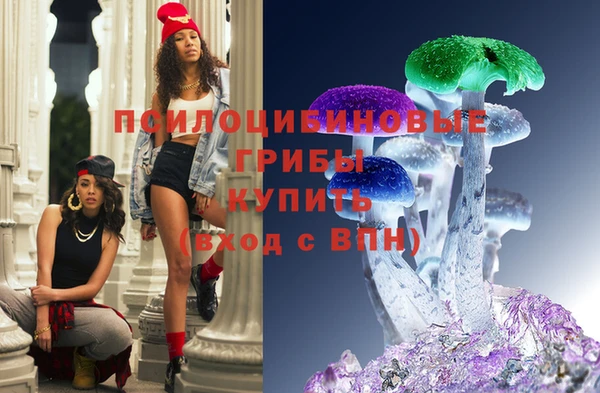ПСИЛОЦИБИНОВЫЕ ГРИБЫ Нестеровская