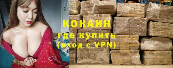 ПСИЛОЦИБИНОВЫЕ ГРИБЫ Нестеровская