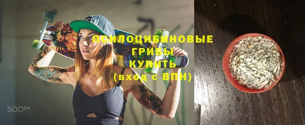 молекула духа Навашино