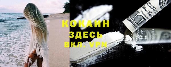сатива Наволоки