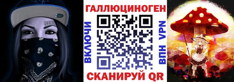 купить наркотик  Злынка  hydra ССЫЛКА  Псилоцибиновые грибы Cubensis 